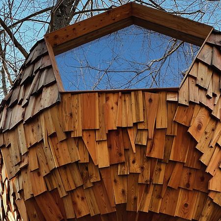 فندق T'Glamp Bee House Rovte المظهر الخارجي الصورة