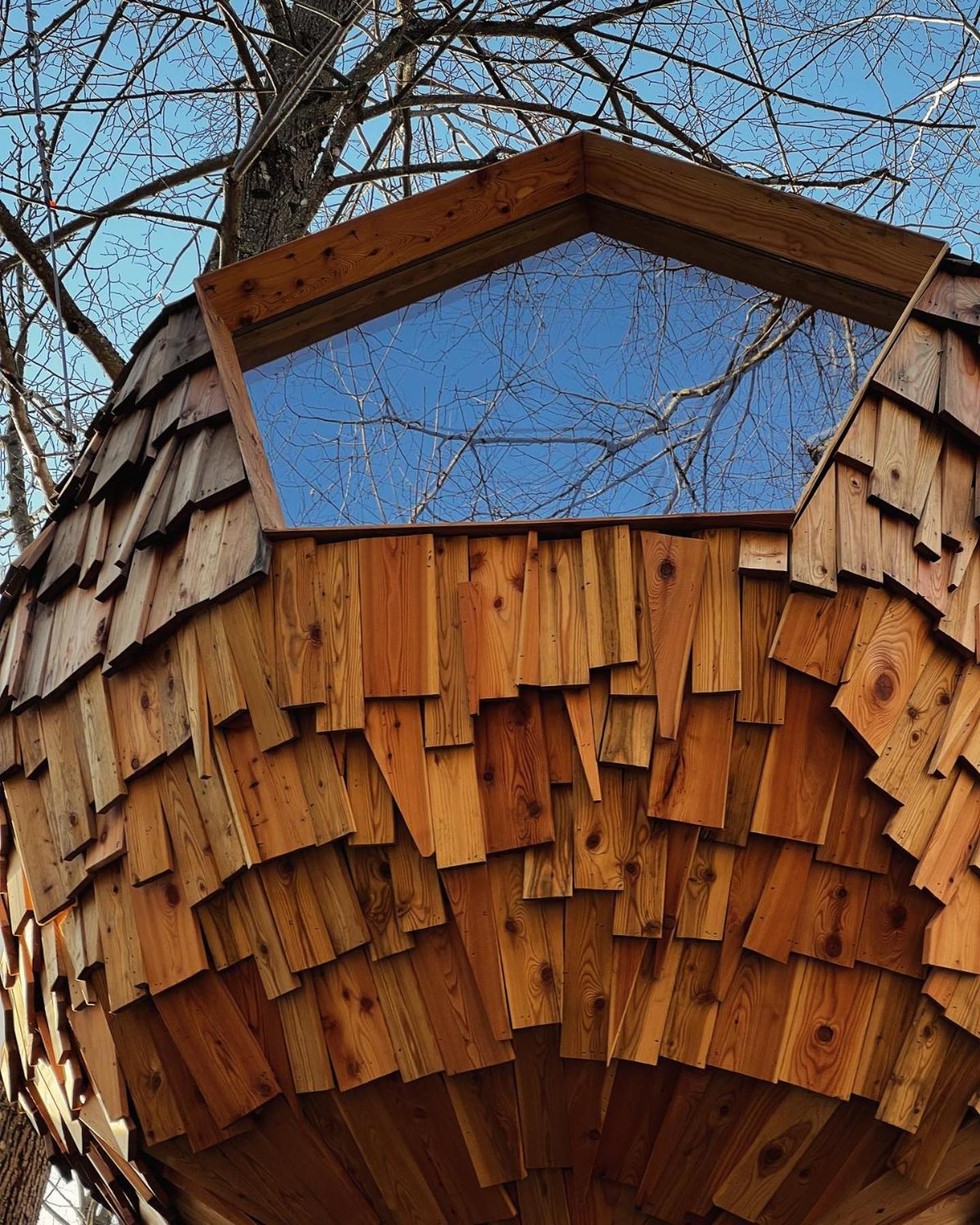 فندق T'Glamp Bee House Rovte المظهر الخارجي الصورة